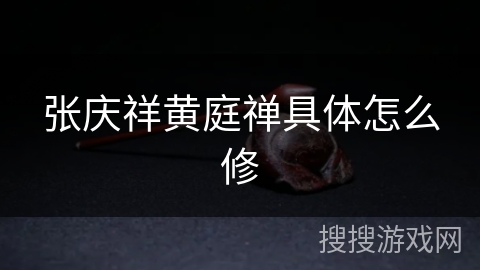 张庆祥黄庭禅具体怎么修