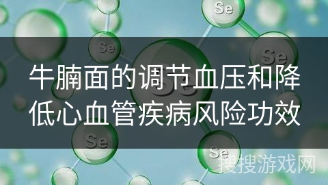 牛腩面的调节血压和降低心血管疾病风险功效