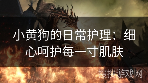 小黄狗的日常护理：细心呵护每一寸肌肤