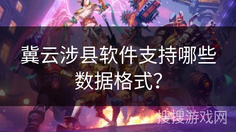 冀云涉县软件支持哪些数据格式？
