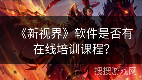 《新视界》软件是否有在线培训课程？
