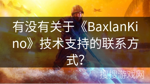 有没有关于《BaxlanKino》技术支持的联系方式？