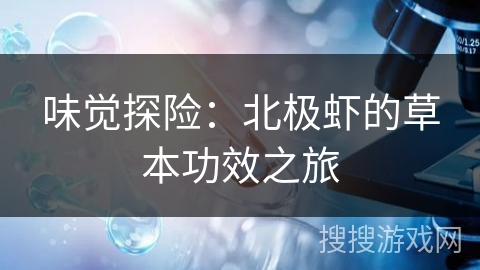 味觉探险：北极虾的草本功效之旅