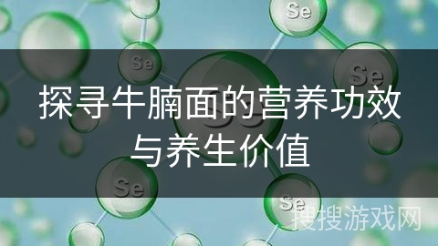 探寻牛腩面的营养功效与养生价值