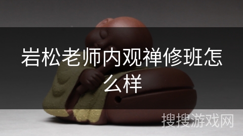 岩松老师内观禅修班怎么样