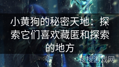 小黄狗的秘密天地：探索它们喜欢藏匿和探索的地方