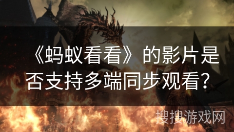 《蚂蚁看看》的影片是否支持多端同步观看？