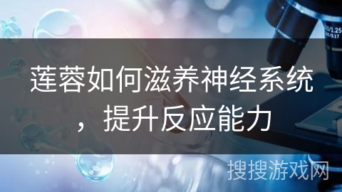 莲蓉如何滋养神经系统，提升反应能力