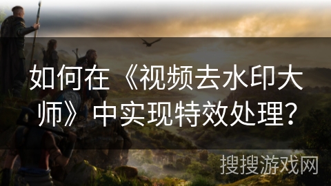 如何在《视频去水印大师》中实现特效处理？
