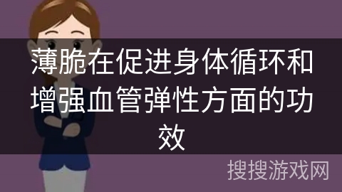薄脆在促进身体循环和增强血管弹性方面的功效