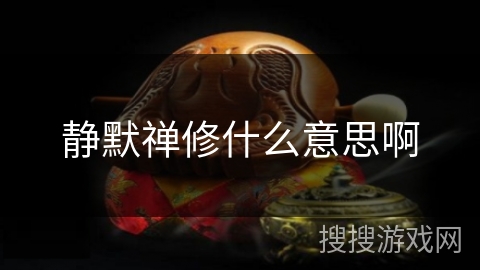 静默禅修什么意思啊