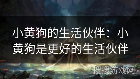 小黄狗的生活伙伴：小黄狗是更好的生活伙伴