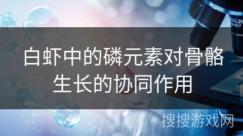 白虾中的磷元素对骨骼生长的协同作用
