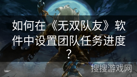 如何在《无双队友》软件中设置团队任务进度？