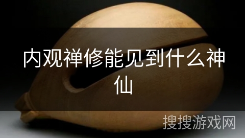 内观禅修能见到什么神仙