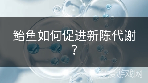 鲐鱼如何促进新陈代谢？