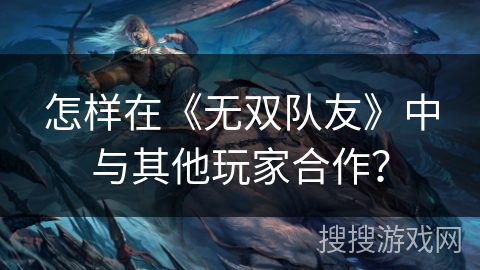 怎样在《无双队友》中与其他玩家合作？