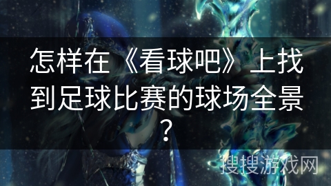 怎样在《看球吧》上找到足球比赛的球场全景？