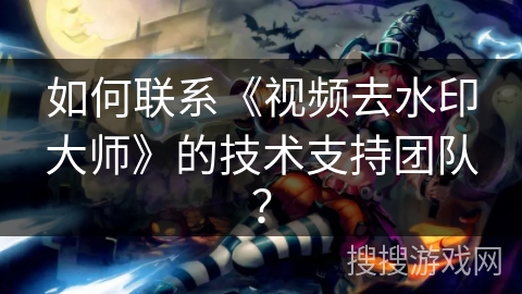 如何联系《视频去水印大师》的技术支持团队？