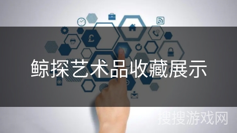 鲸探艺术品收藏展示