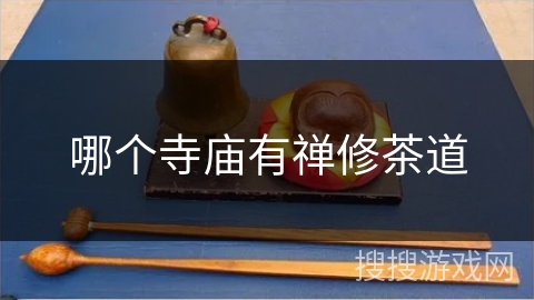 哪个寺庙有禅修茶道 哪个寺庙有禅修茶道