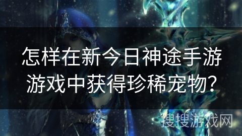 怎样在新今日神途手游游戏中获得珍稀宠物？