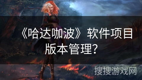 《哈达咖波》软件项目版本管理？