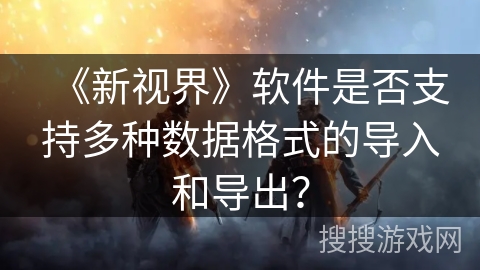 《新视界》软件是否支持多种数据格式的导入和导出？