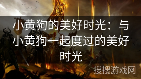 小黄狗的美好时光：与小黄狗一起度过的美好时光