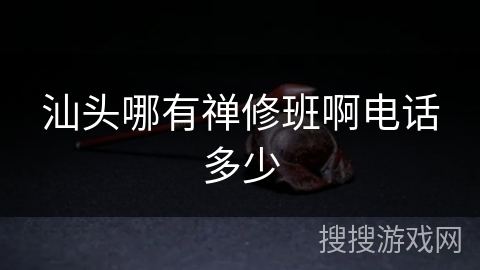 汕头哪有禅修班啊电话多少