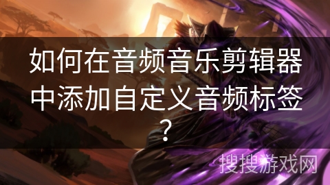 如何在音频音乐剪辑器中添加自定义音频标签? 如何在音频音乐剪辑器中添加自定义音频标签?
