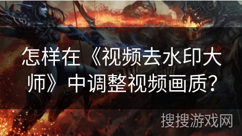 怎样在《视频去水印大师》中调整视频画质？
