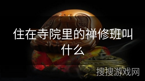 住在寺院里的禅修班叫什么 住在寺院里的禅修班叫什么