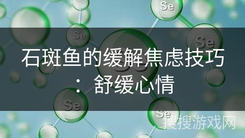 石斑鱼的缓解焦虑技巧：舒缓心情
