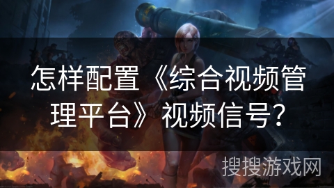 怎样配置《综合视频管理平台》视频信号？