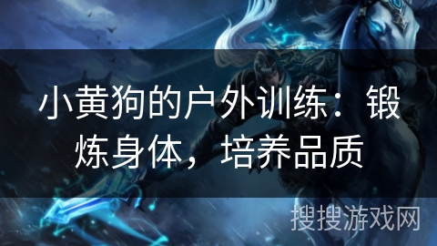 小黄狗的户外训练：锻炼身体，培养品质