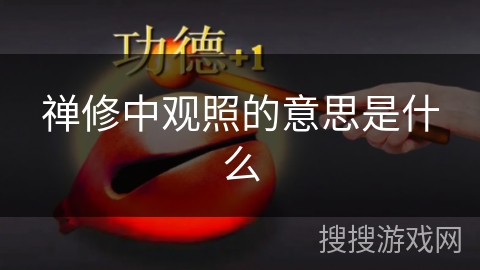 禅修中观照的意思是什么