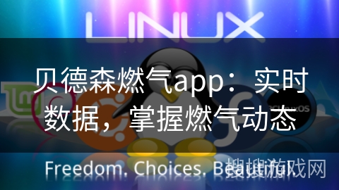 贝德森燃气app:实时数据,掌握燃气动态 贝德森燃气app:实时数据,掌握燃气动态