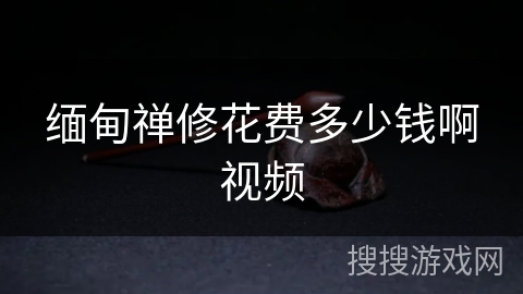 缅甸禅修花费多少钱啊视频