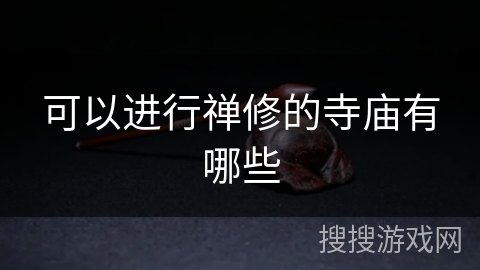 可以进行禅修的寺庙有哪些