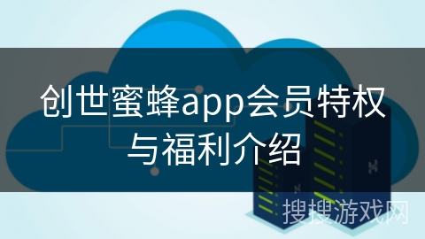 创世蜜蜂app会员特权与福利介绍