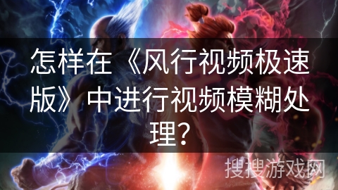 怎样在《风行视频极速版》中进行视频模糊处理？