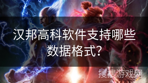 汉邦高科软件支持哪些数据格式？