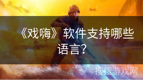 《戏嗨》软件支持哪些语言？