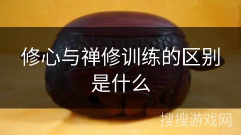 修心与禅修训练的区别是什么