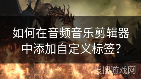 如何在音频音乐剪辑器中添加自定义标签？