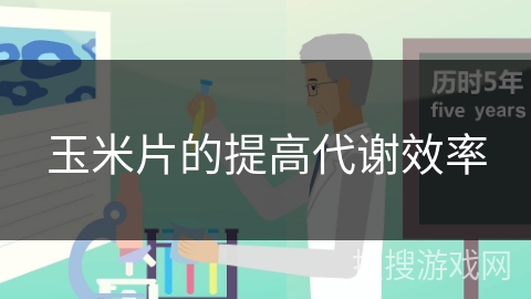 玉米片的提高代谢效率