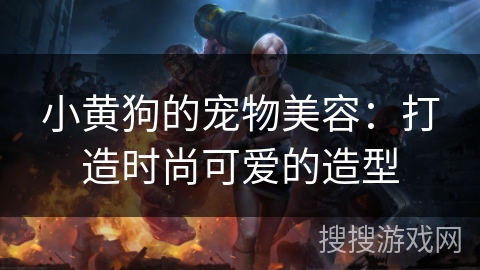 小黄狗的宠物美容：打造时尚可爱的造型