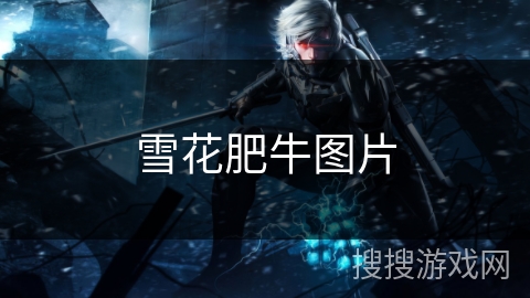 雪花肥牛图片