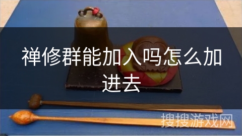 禅修群能加入吗怎么加进去